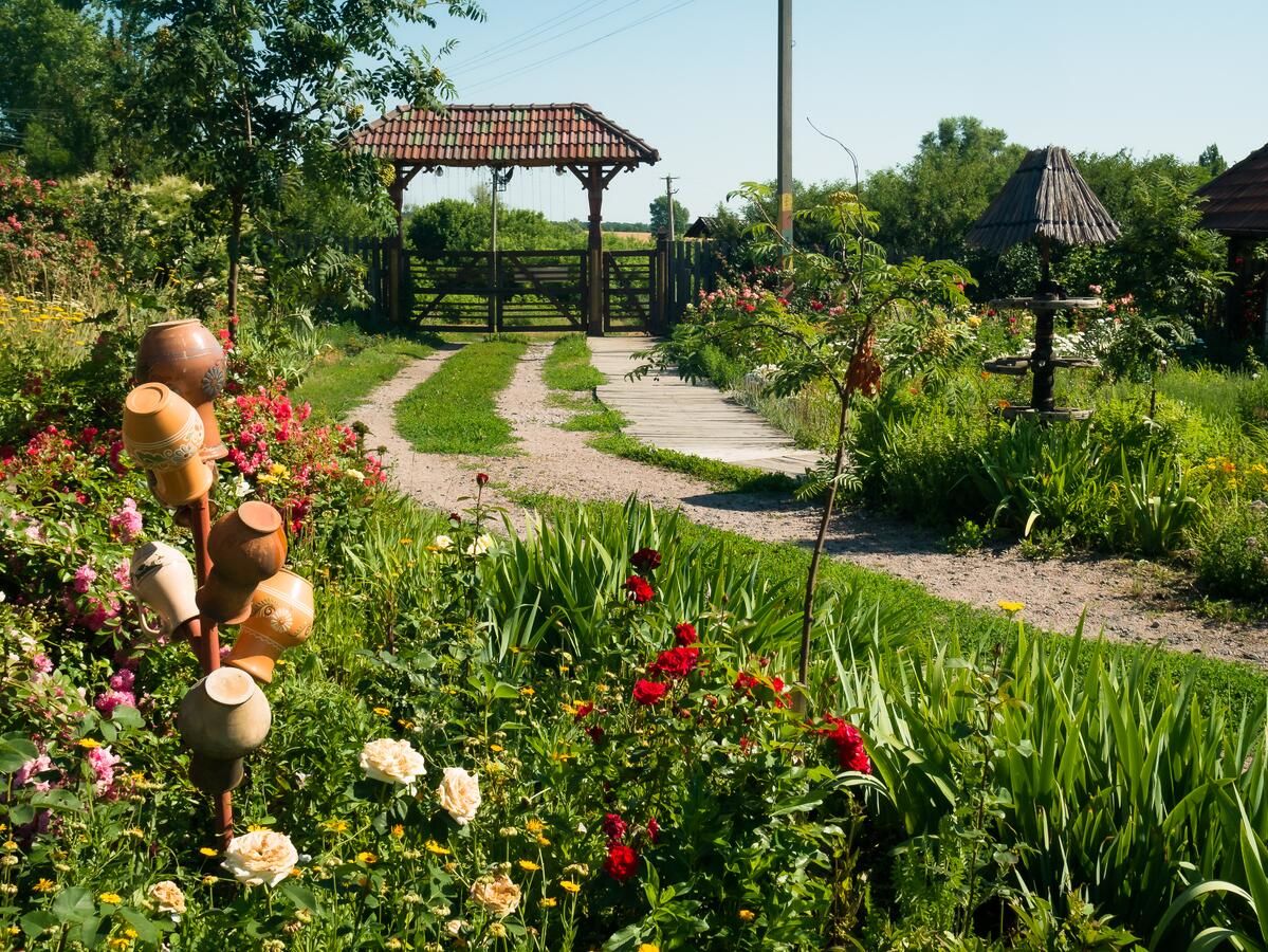 Гостевой дом Vesela Sadyba Veselivka